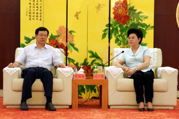 宁夏长城集团董事长_宁夏长城明长城的图片(2)